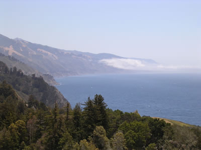 Fog
